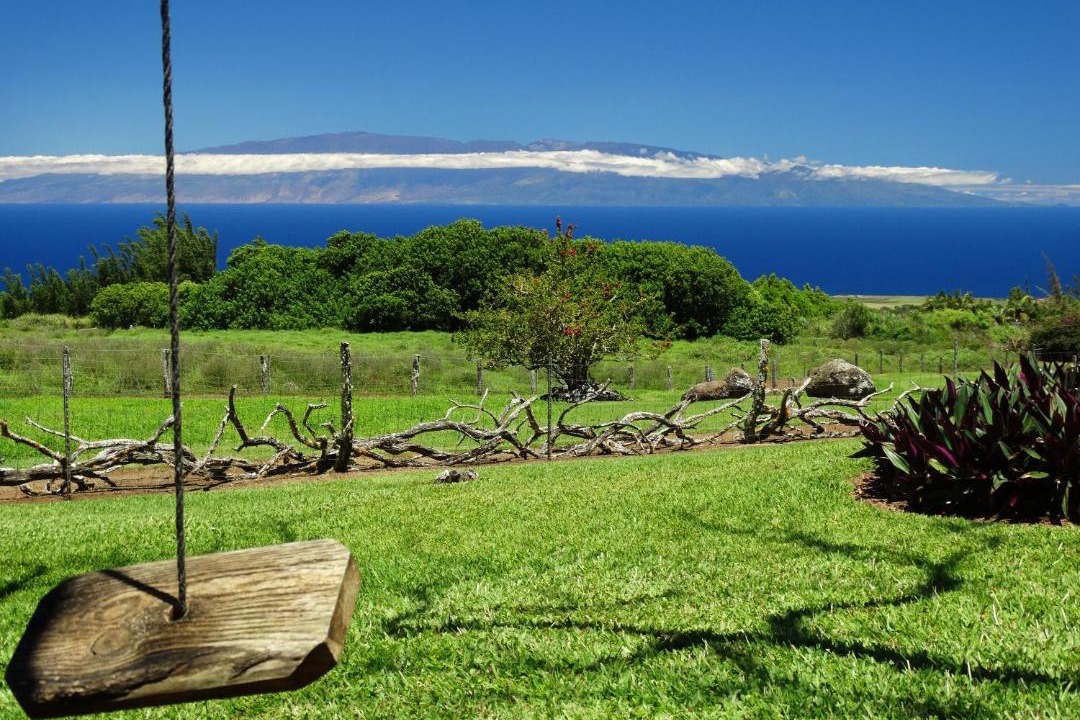 Photo of Others in Hawi