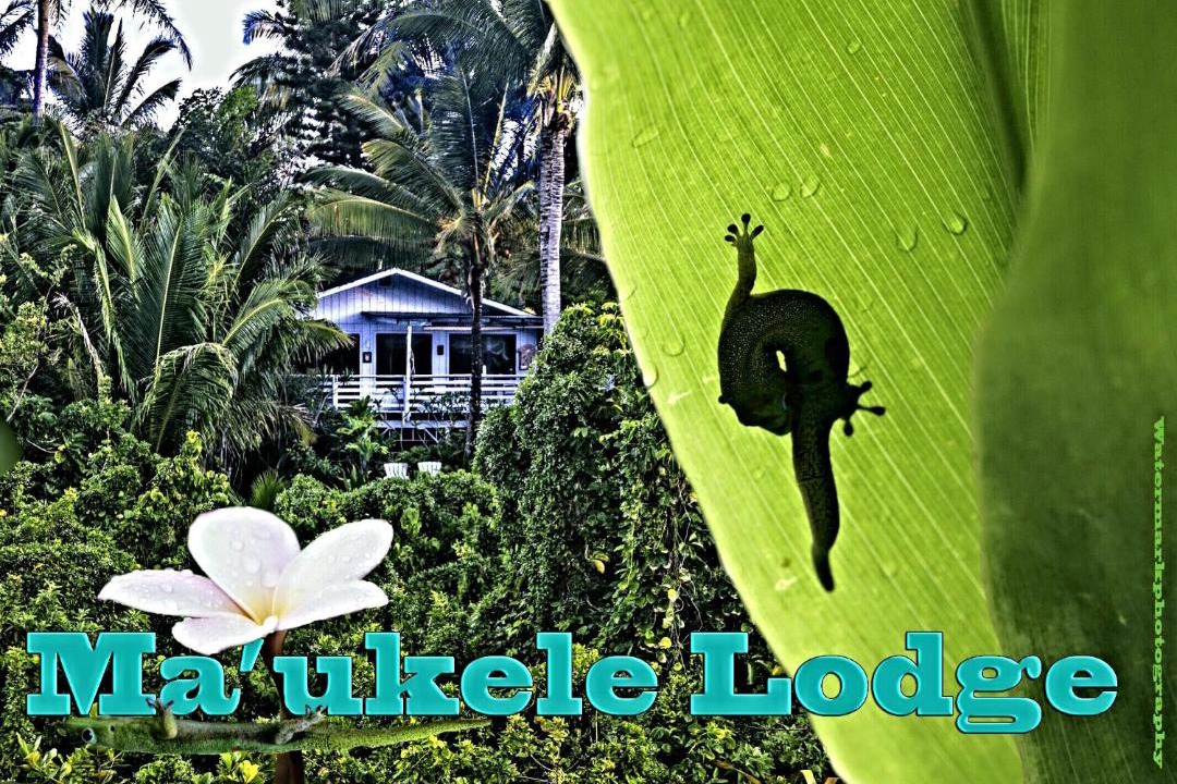 Photo of Others in Kalapana