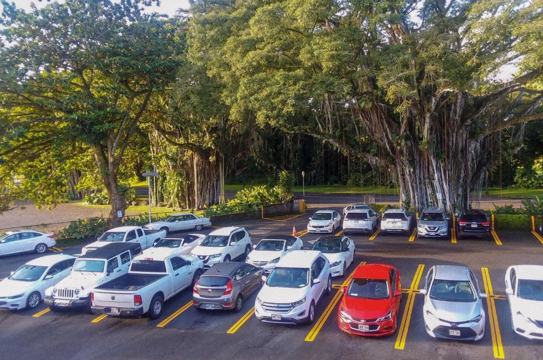 Photo of Others in Hilo