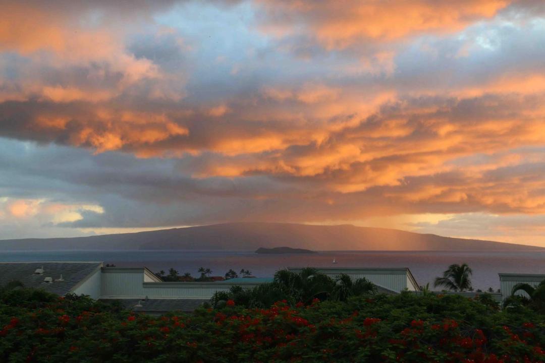 Photo of Others in Wailea