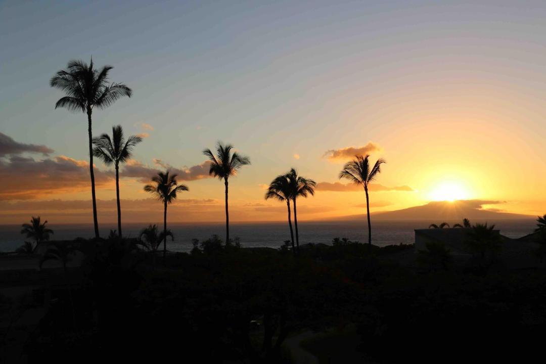 Photo of Others in Wailea