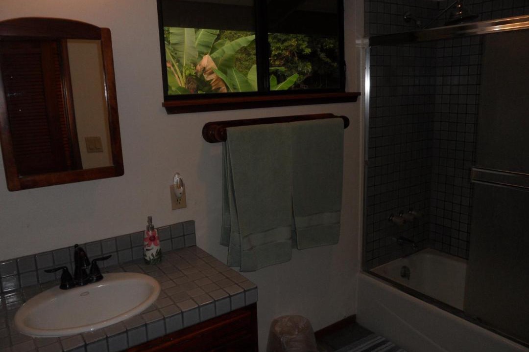 Photo of Bathroom in Honaunau-Napoopoo