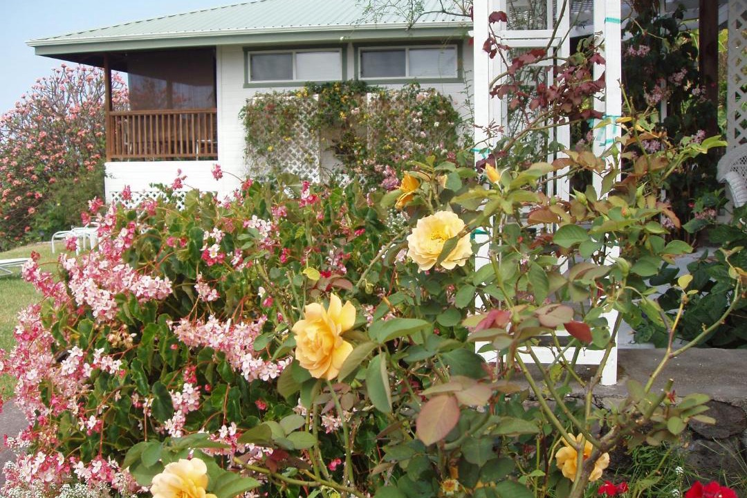 Photo of Others in Honaunau-Napoopoo