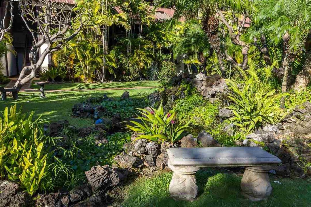 Photo of Others in Kihei