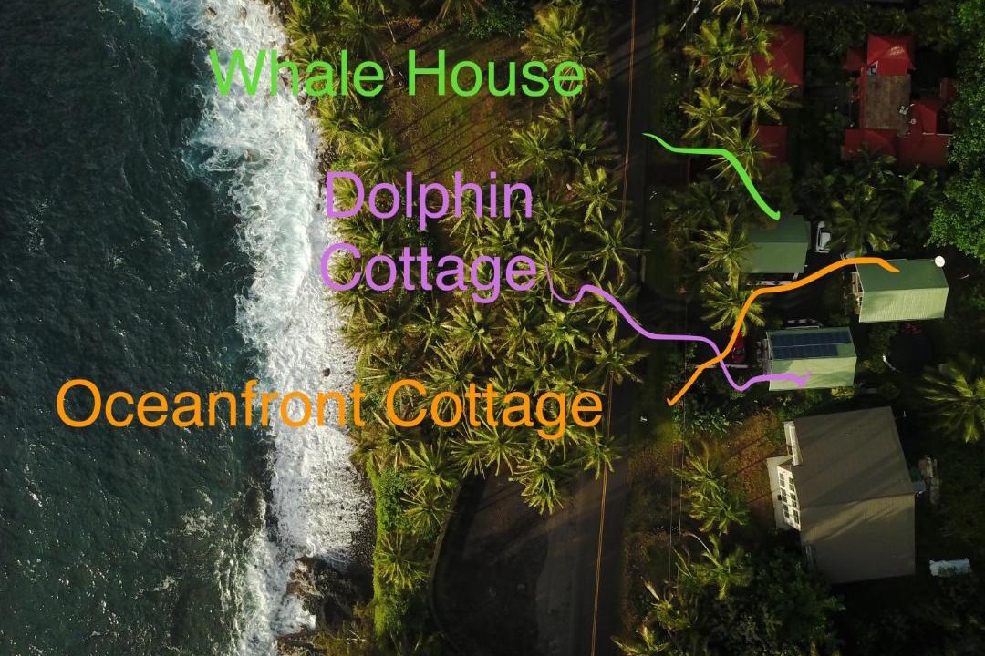 Photo of Others in Kehena Beach Estates