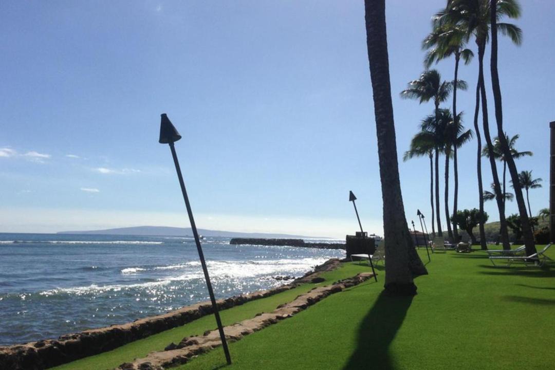 Photo of Others in Maalaea