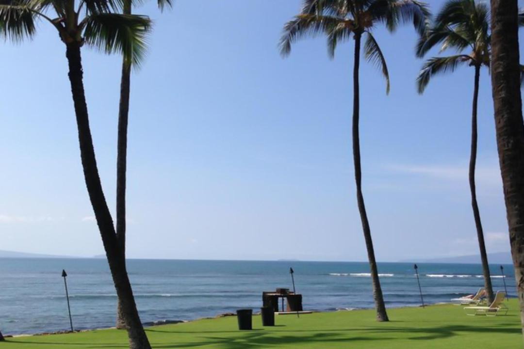 Photo of Others in Maalaea