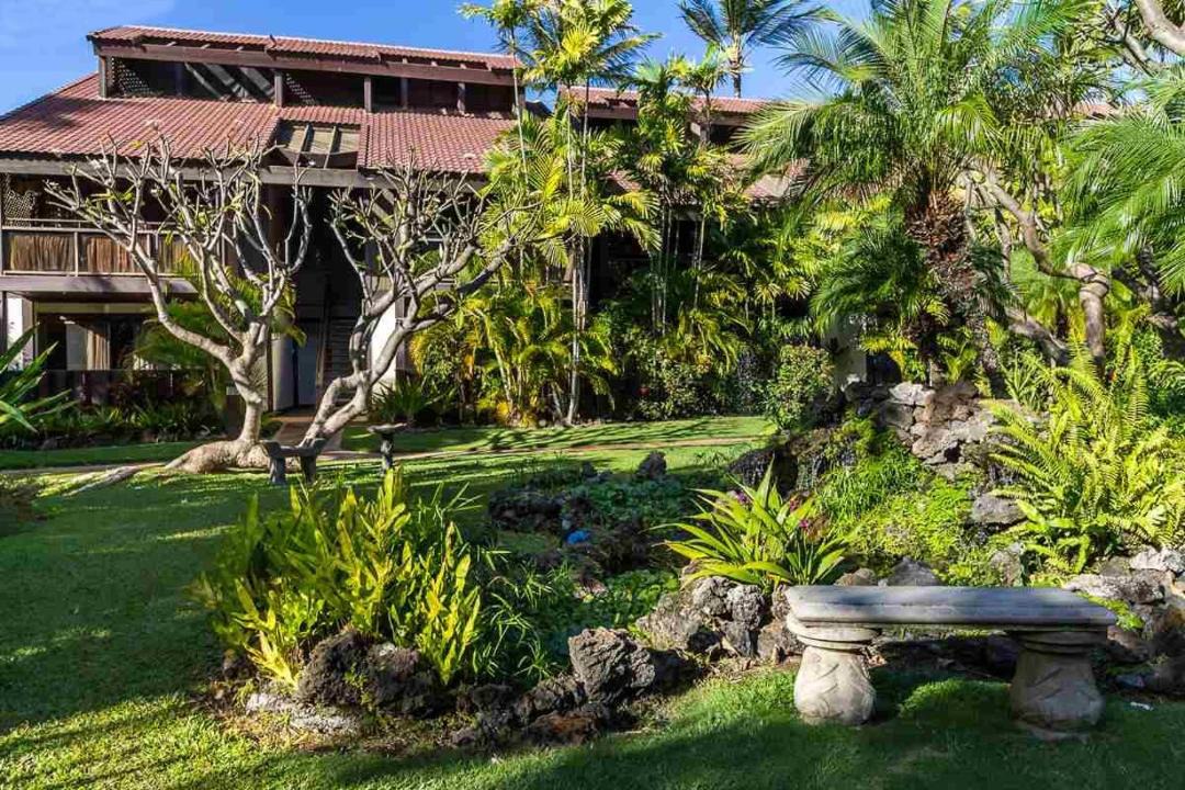 Photo of Others in Kihei