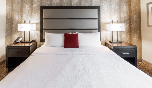Suite, 1 King Bed