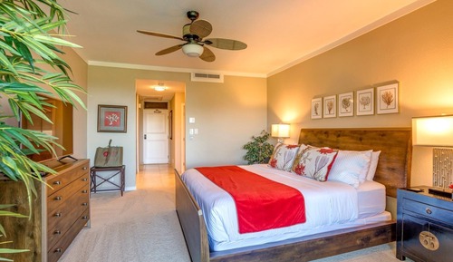 Condo (1 Bedroom)