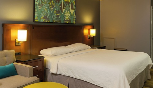 Room, 1 King Bed, Non Smoking