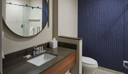 Suite, 1 King Bed with Sofa bed
