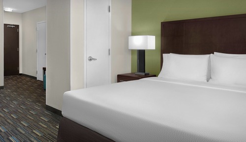 Executive Suite, 1 King Bed with Sofa bed (Mobility/Hearing Access, Roll-In Shwr)