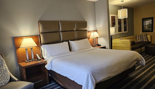 Suite, 1 King Bed with Sofa bed, Accessible (HEARING)
