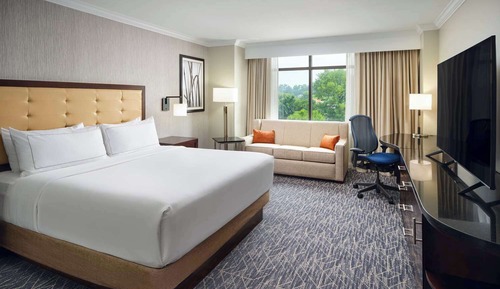 Superior Room, 1 King Bed with Sofa bed, Accessible (Hearing Accessible)
