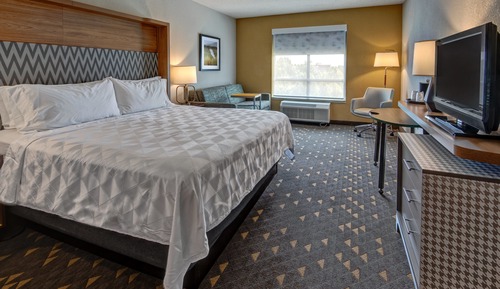 Standard Room, 1 King Bed, Accessible (Mobility Access Tub)