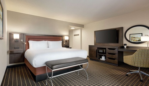 Room, 1 King Bed, Non Smoking