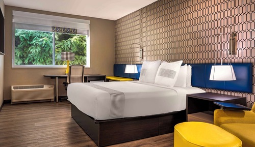 Standard Room, 1 King Bed, Non Smoking, Refrigerator