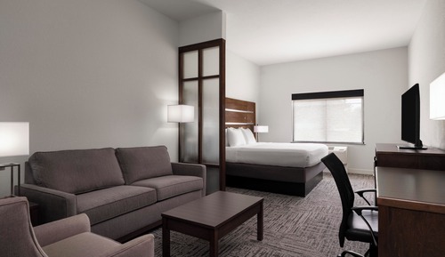 Suite, 1 King Bed, Mobility Accessible, Non Smoking (with Sofabed)
