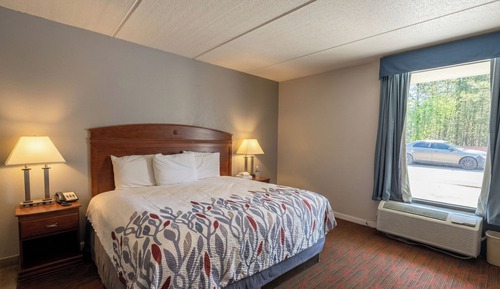 Room, 1 King Bed, Non Smoking (Accessible)