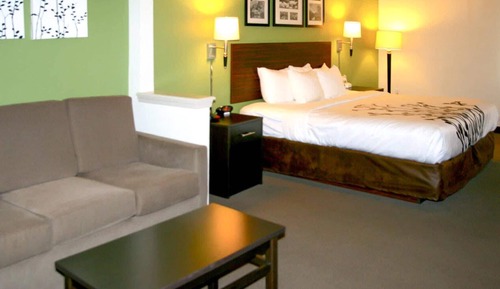 Suite, 1 King Bed with Sofa bed, Non Smoking