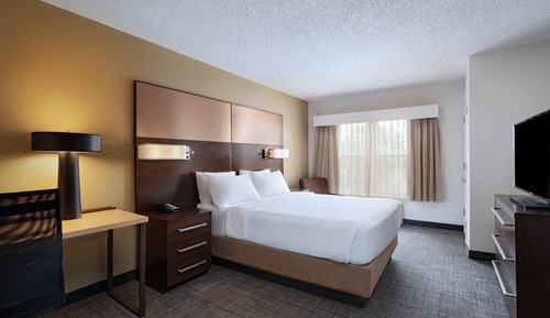 Suite, 1 Queen Bed