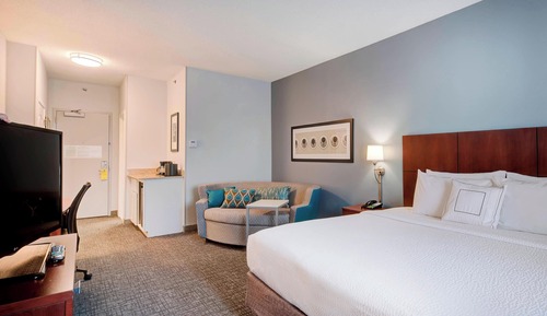 Room, 1 King Bed with Sofa bed