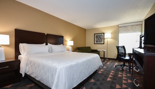Standard Room, 1 King Bed with Sofa bed