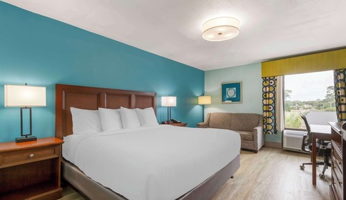 Standard Room, 1 King Bed, Accessible, Non Smoking (with Sofabed)