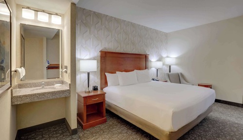 Room, 1 King Bed, Accessible (Roll in Shower)