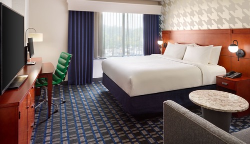 Room, 1 King Bed with Sofa bed (Mobility Accessible, Roll-In Shower)