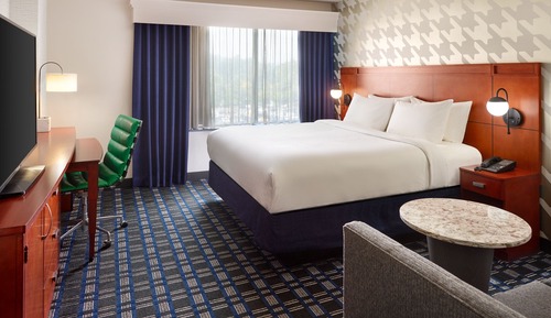 Room, 1 King Bed with Sofa bed