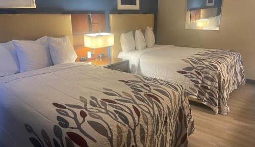 Deluxe Room with Two Double Beds Non-Smoking