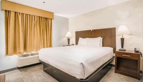 Pet Friendly King Room