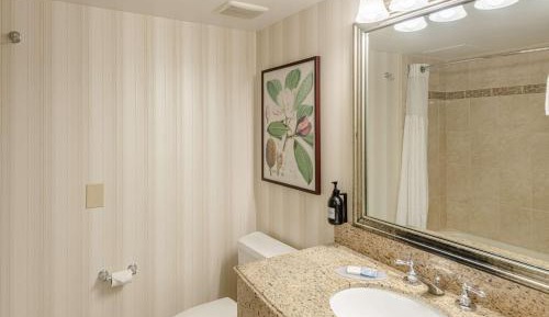 King Room with Pullout Sofa