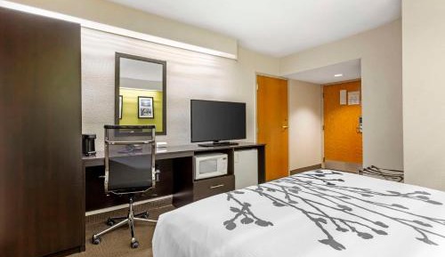 Queen Room with Roll-In Shower - Mobility Accessible/Non Smoking