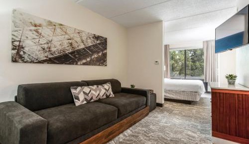 King Suite with Trundle Sofa