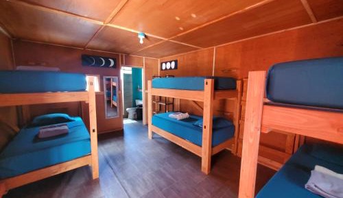 Bed in 6-Bed Female Dormitory Room