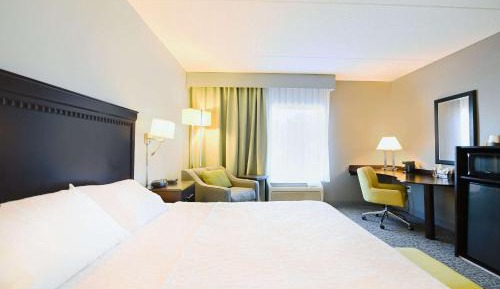 King Room with King Bed - Non-Smoking