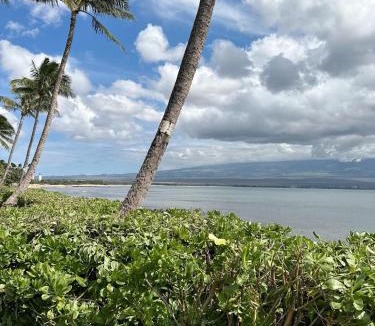 Maalaea Apartment | Oceanfront Property Maui Hawaii at Island Sands