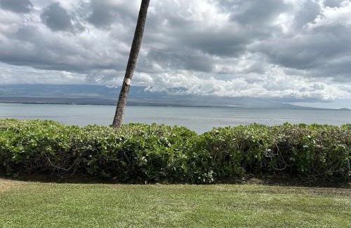 Maalaea Apartment | Oceanfront Property Maui Hawaii at Island Sands